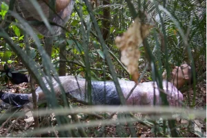 A pesquisa e obra Casulos de Plástico cria ambiguidades com o corpo em nosso tempo imerso na crise ambiental. O que vemos é que os corpos encasulados pelo o plástico claustrofóbico e tóxico, trazem a asfixia do corpo imobilizado e aproxima realidades humanas e urbanas com o tema Natureza. Os Casulos de plástico, em um outro olhar, se apropriam dos casulos das borboletas para falar das diferentes metamorfoses. Enquanto a lagarta, em uma transformação da natureza, se liberta do casulo para virar borboleta, o ser humano se enclausura e se intoxica em suas proprias criações e suas novas tecnologias.